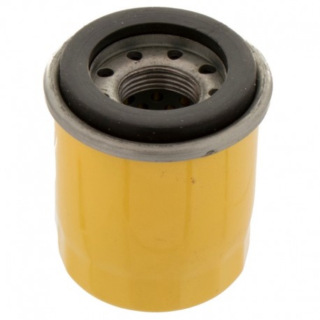 Olejový Filtr Motoru Briggs & Stratton 795990