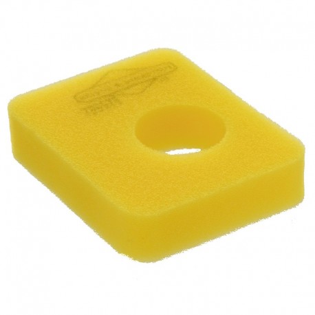 Vzduchový filtr Briggs & Stratton 799579