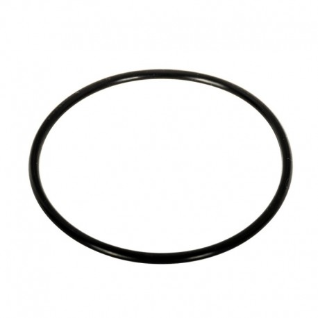 O-krúžok termostatu 2,62 x 55,24 mm New Holland Fiat Case Ford