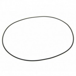 O-krúžok pre piest 325x3,85mm Claas Mf brzda 3617901m1 3382189m1 6005019078