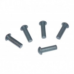 Nýty s kulatou hlavou 7x60mm 0,5kg