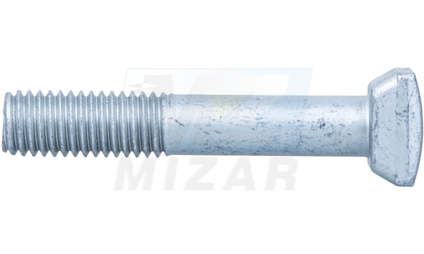 T-skrutka M10x60