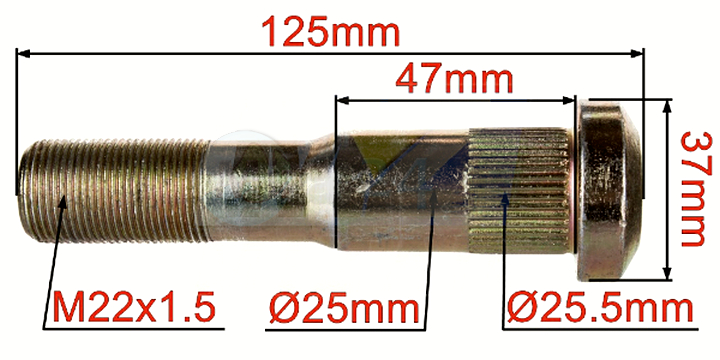 50248_1.jpg