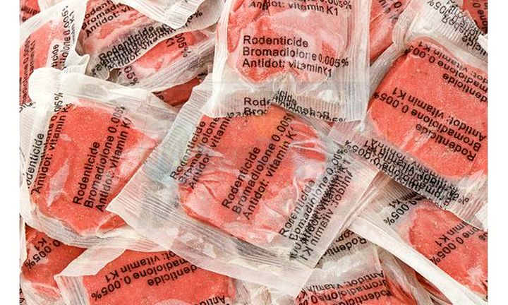 Ratimor 1kg jed na hlodavce ve formě pasty, Brodifacoum red, prodejna MIZAR