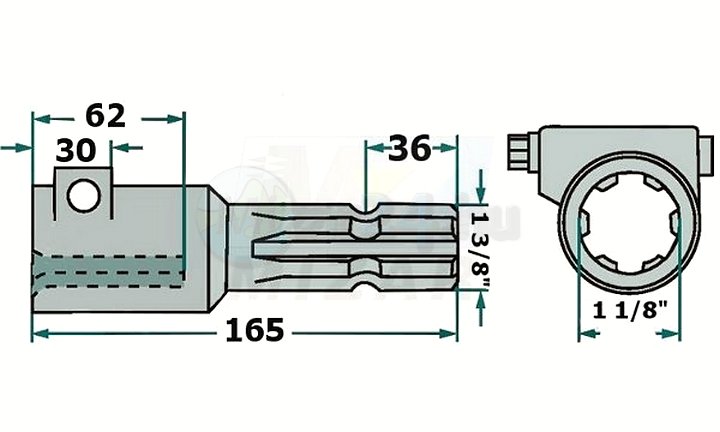 29703_2.jpg