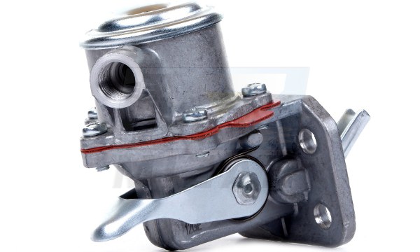 34690_2.jpg
