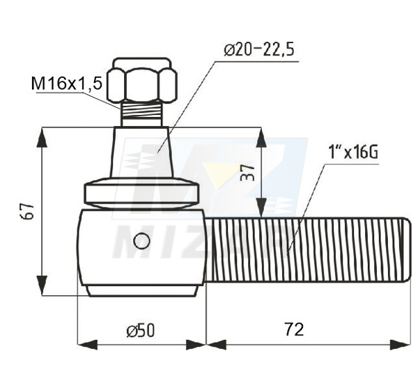 45792_2.jpg
