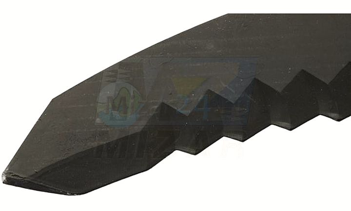 75906_4.jpg