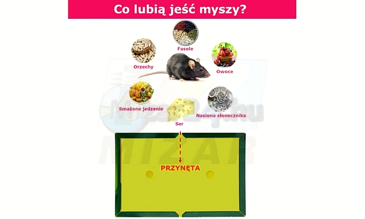 79678_5.jpg