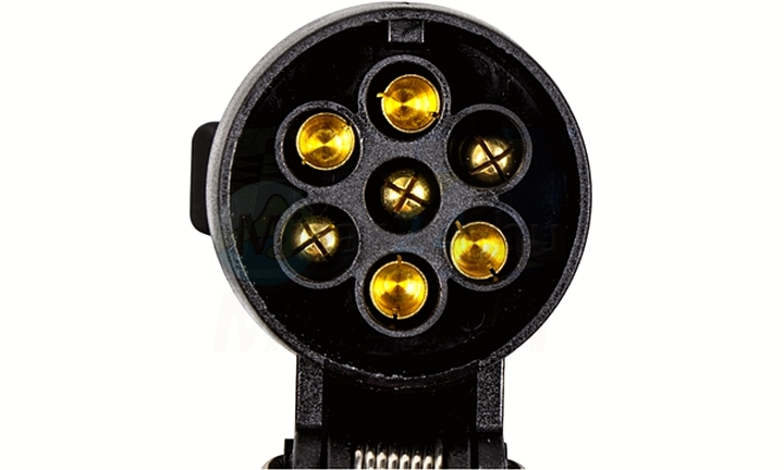80979_3.jpg